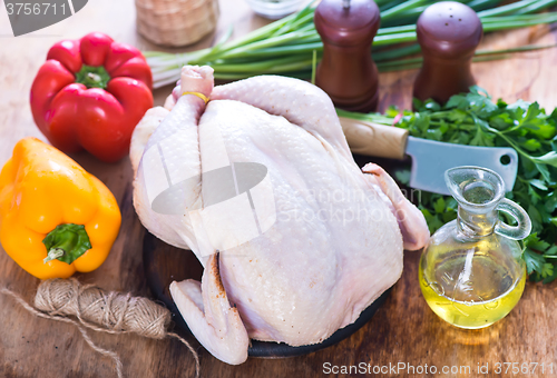 Image of chicken