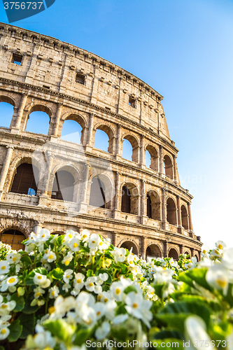 Image of Colosseum in Rome