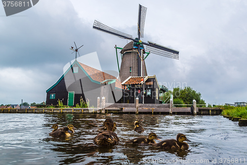 Image of Wind mills in Holland