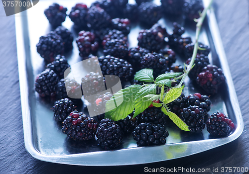 Image of blackberry