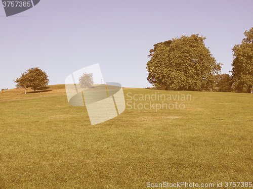 Image of Primrose Hill London vintage