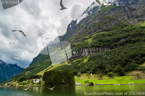 Image of Sognefjord in Norway