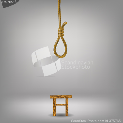 Image of Vertical Rope Loop