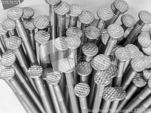 Image of lots of nails