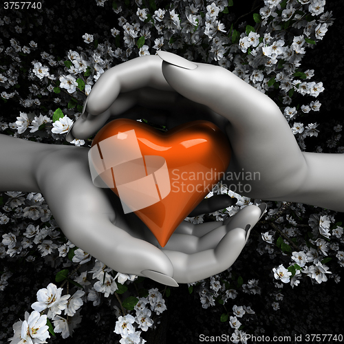 Image of Close up of woman hands holding heart
