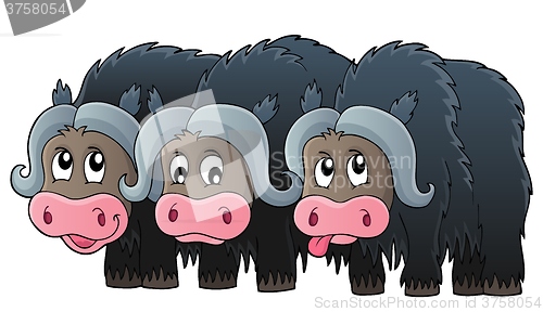 Image of Three muskoxen theme image 1