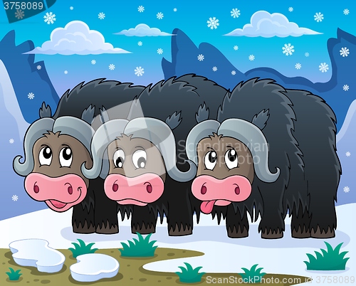 Image of Three muskoxen theme image 2