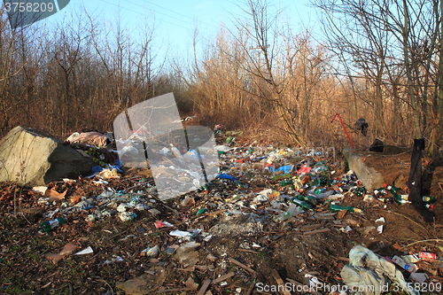 Image of garbage and nature\r\n