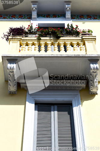 Image of    lombardy       the milano old   window closed brick   flower