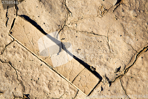 Image of brown dry sand in sahara wood abstract