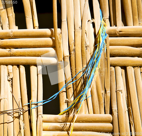 Image of texture bamboo in morocco africa brown natural line closeup