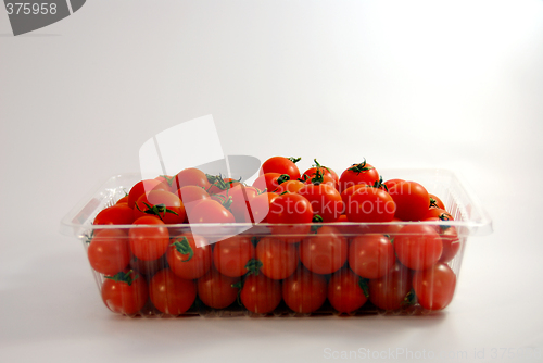 Image of Fresh Cherry Tomatoes