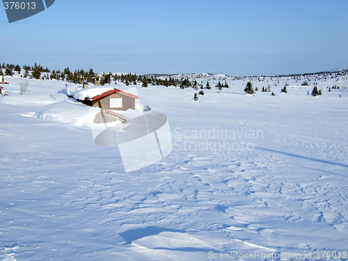 Image of Winter landscape