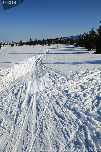 Image of Ski tracks