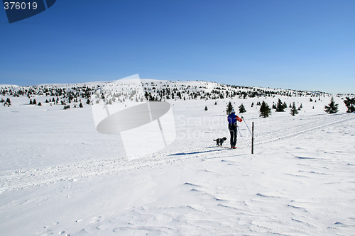 Image of Winter landscape