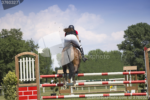 Image of Young girl jumping on horseback