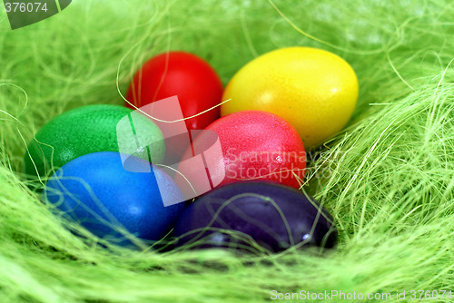 Image of eastereggs