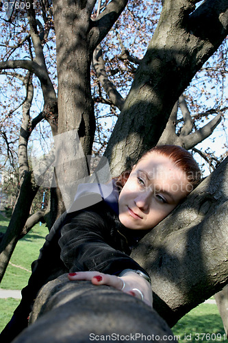 Image of girl in a tree