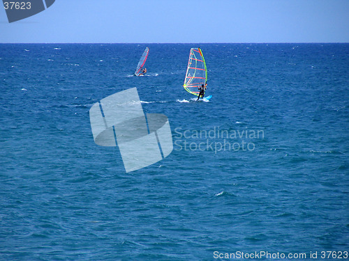 Image of wind surfing