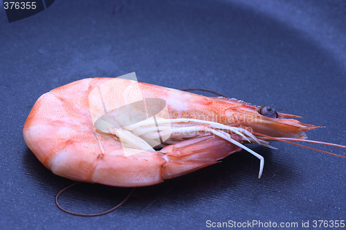Image of Shrimp on a pan
