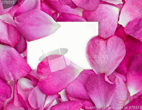 Image of rose petals with card