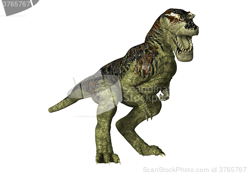 Image of Dinosaur Tyrannosaurus Rex on White