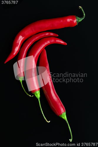 Image of Chili pepper