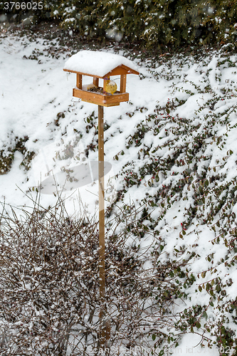 Image of simple bird feeder