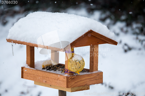 Image of simple bird feeder