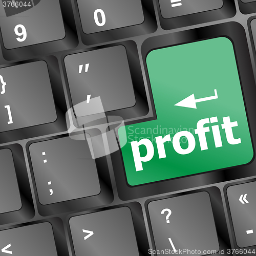 Image of Profit key showing returns for internet business vector illustration