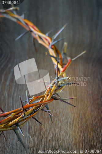 Image of crown made of thorns isolated 