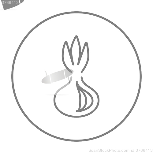 Image of Onion line icon.