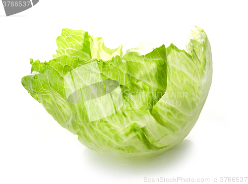 Image of leaf of iceberg lettuce