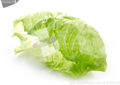 Image of green iceberg lettuce leaf