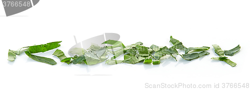 Image of chopped parsley leaves