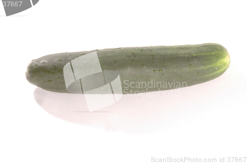 Image of one cucumber