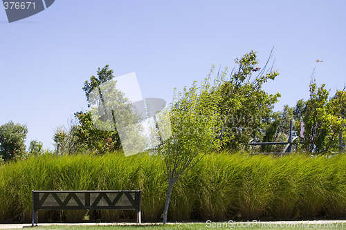 Image of Chair in the park