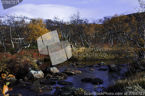 Image of mountain creek