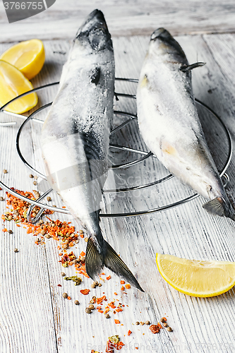 Image of Carcasses frozen mackerel