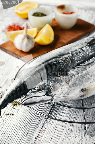 Image of Carcasses frozen mackerel