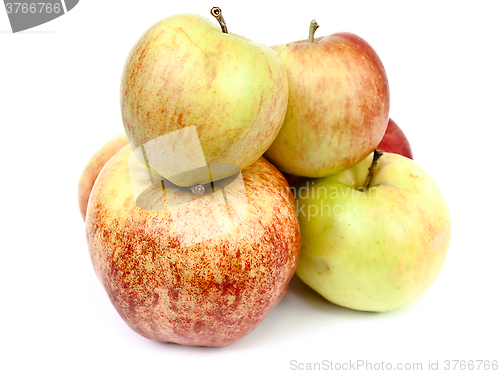 Image of apples