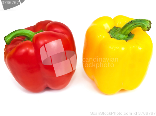 Image of paprika