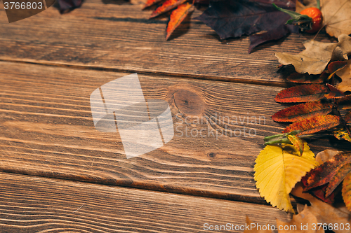 Image of Background with wooden table and autumnal leaves