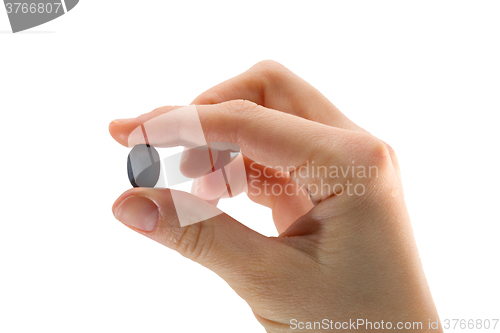 Image of Lotus seeds in hand