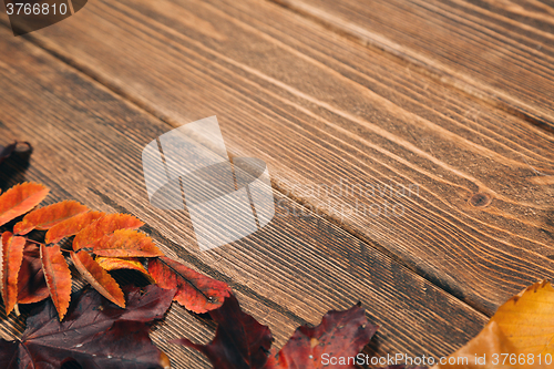 Image of Background with wooden table and autumnal leaves