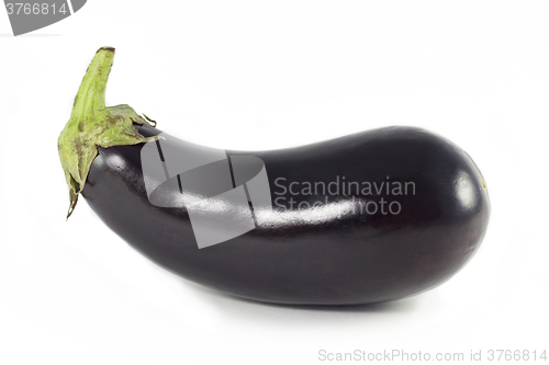 Image of Eggplant