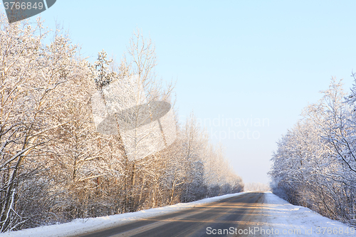 Image of Winter road through snowy forests