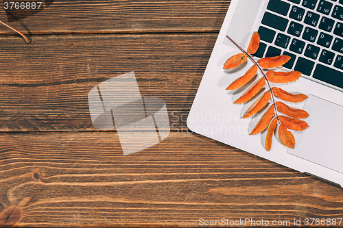 Image of Background with laptop and autumnal leaves