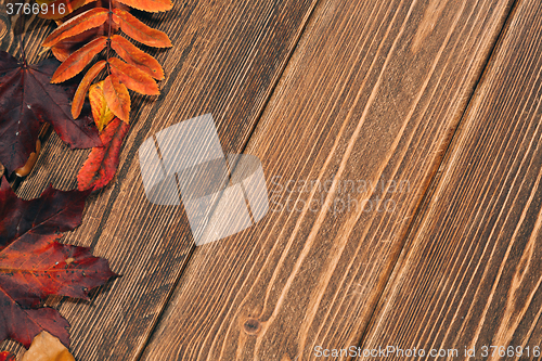 Image of Background with wooden table and autumnal leaves