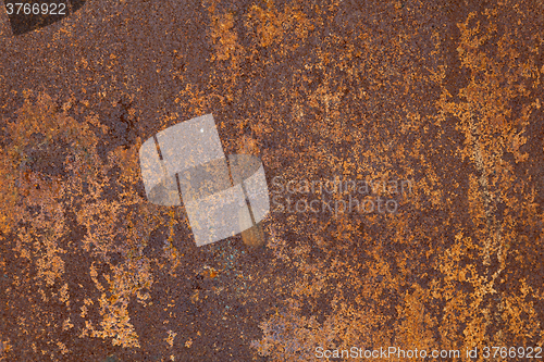 Image of Rusty metal texture